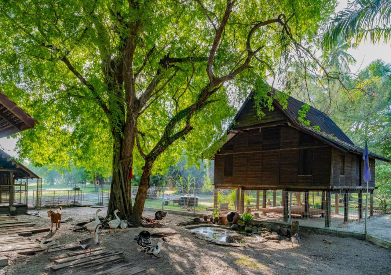 Pelangi Beach Resort&Spa, Langkawi Zewnętrze zdjęcie A traditional house in Perak, Malaysia