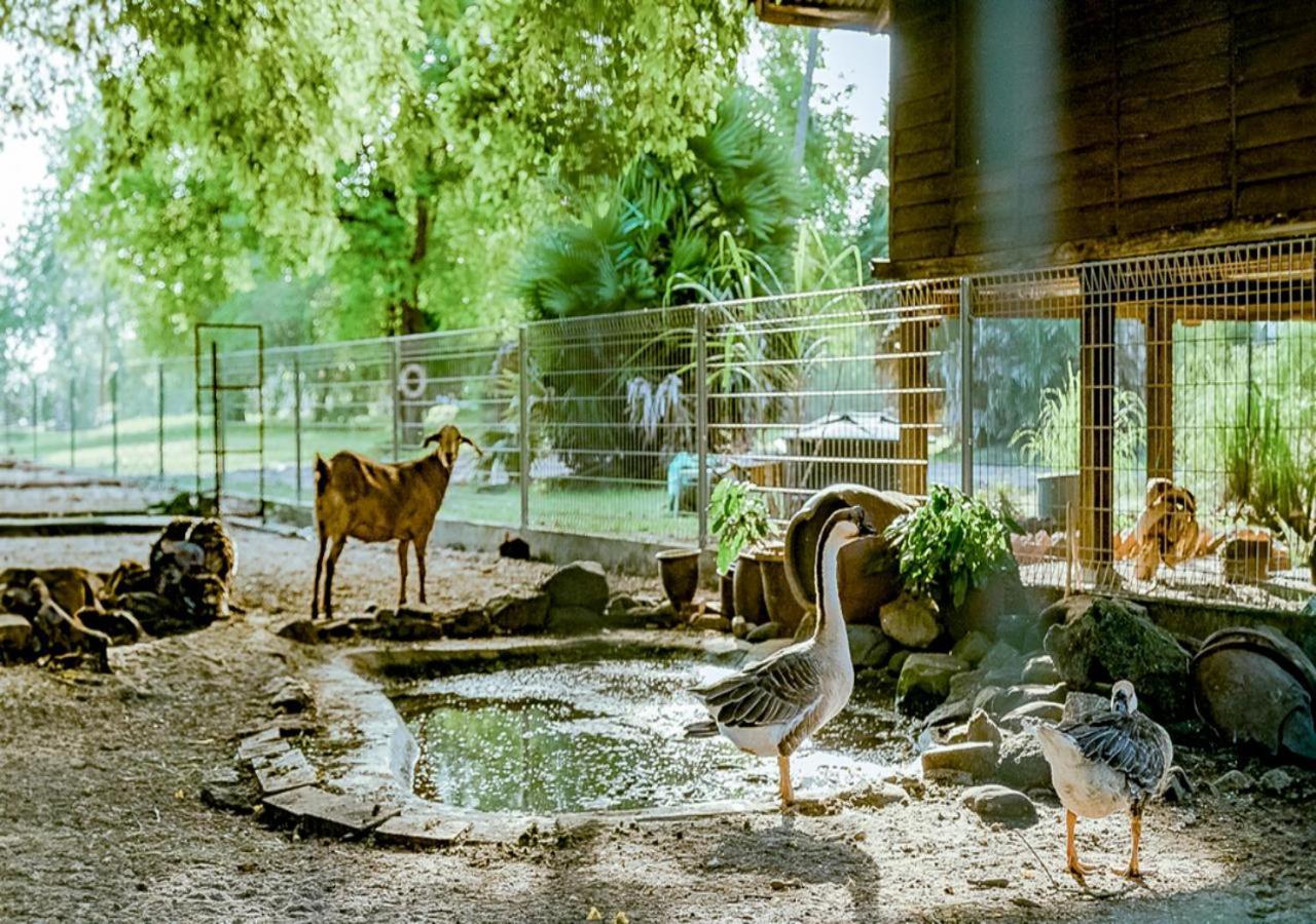 Pelangi Beach Resort&Spa, Langkawi Zewnętrze zdjęcie The goat barn at the Old Zoo